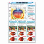Eye and its Defects